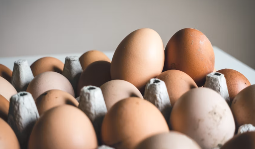 Harga Telur Peternak Terpuruk, Pemerintah Wajibkan Dapur MBG Beli Langsung dari Kandang
